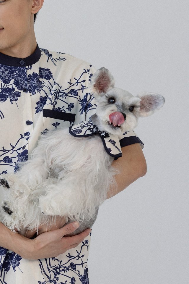 FINN FLORAL CONTRAST MANDARIN BUTTON PET COLLAR